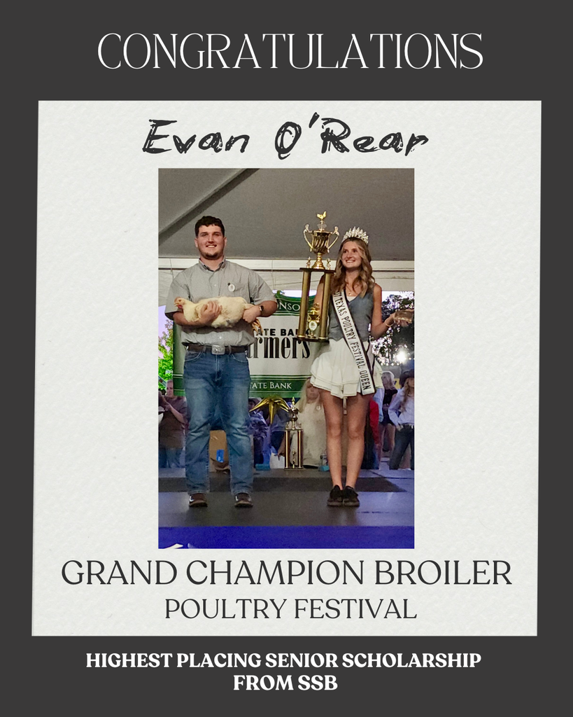 grand champion