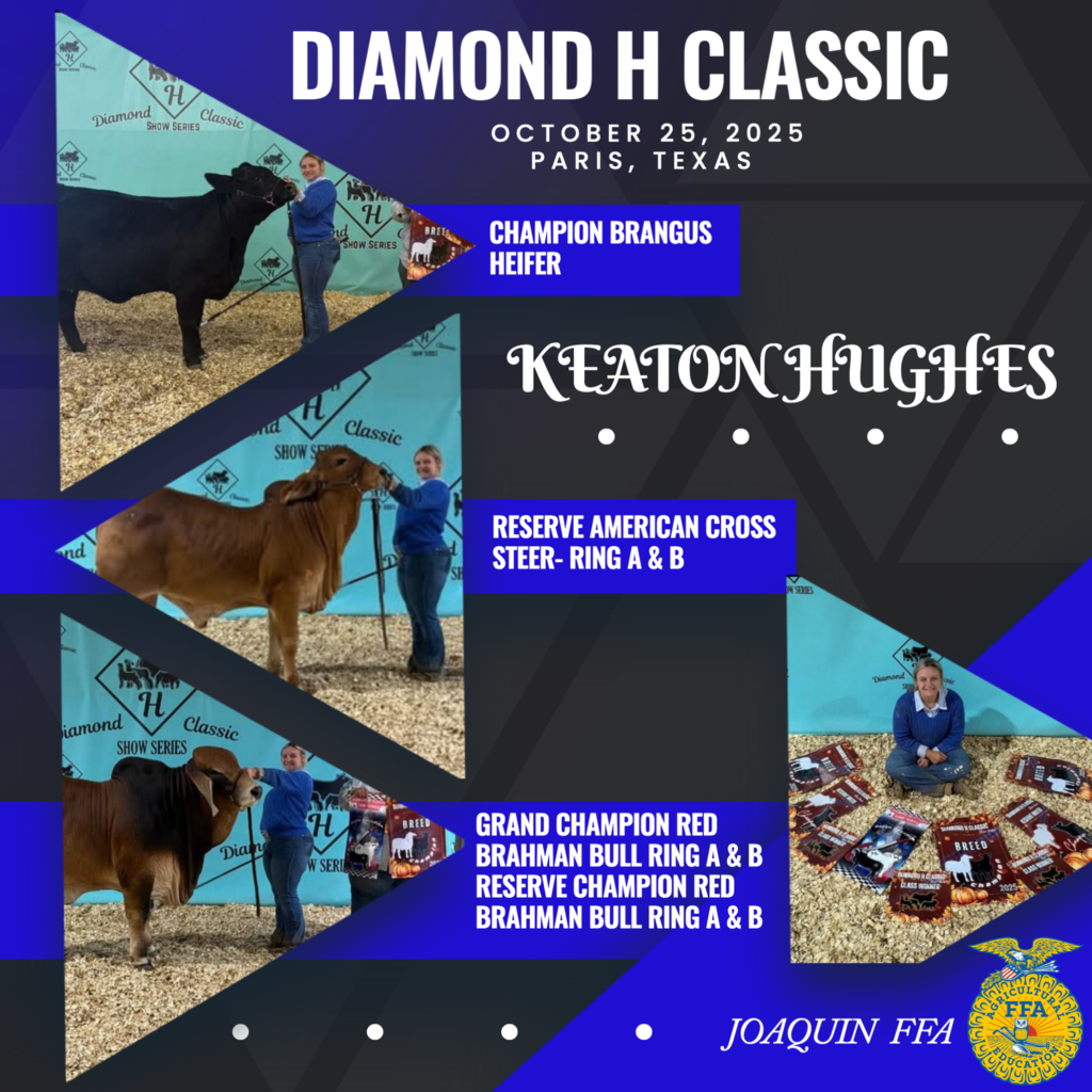 Keaton- Diamond H Classic