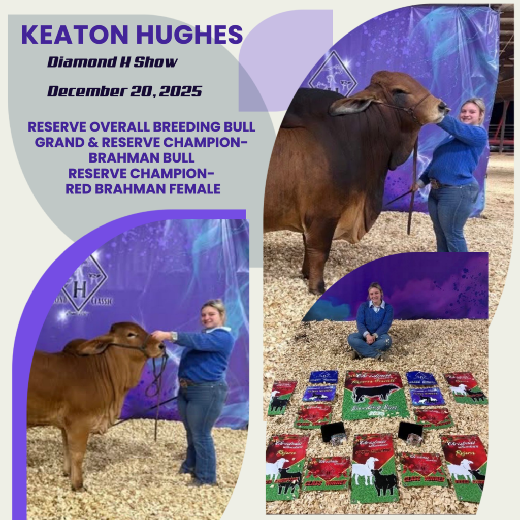 Keaton- Diamond H Show