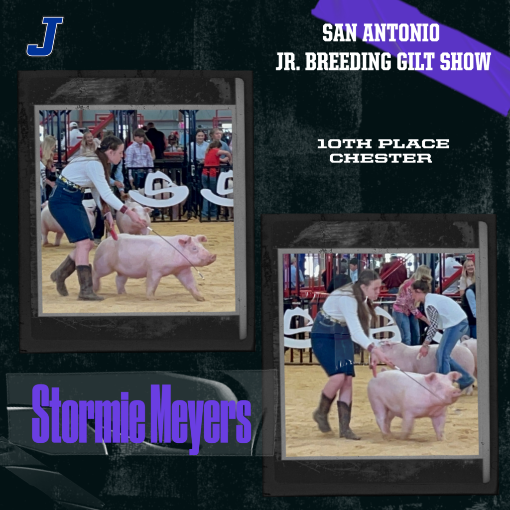 Stormie M- San Antonio