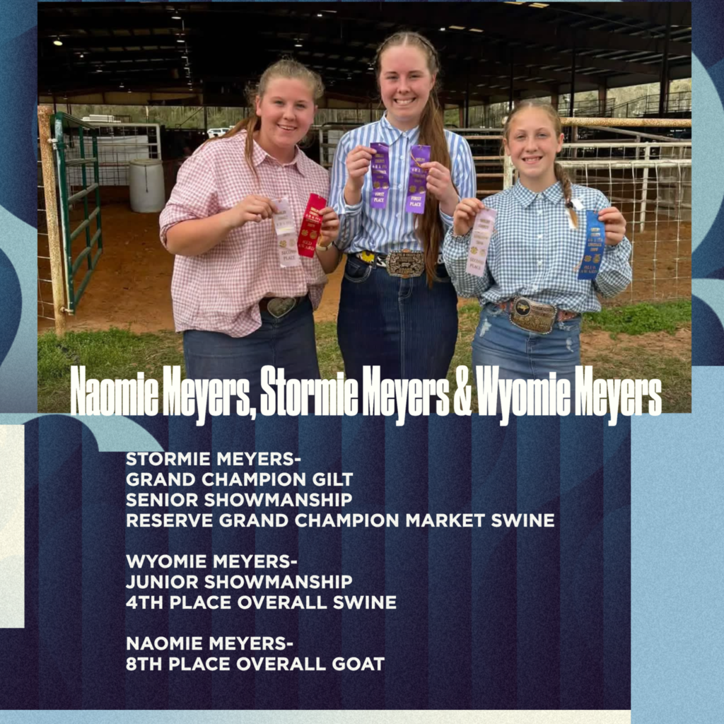 Shelby County- Meyers