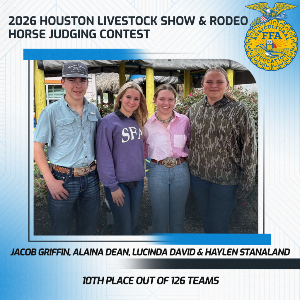 HLSR Horse Judging '26