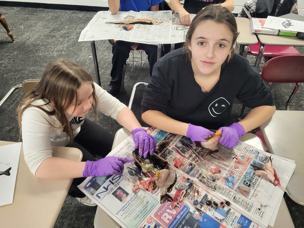 Middle School Outdoor Science Elective students learning about fish anatomy by dissecting fish!