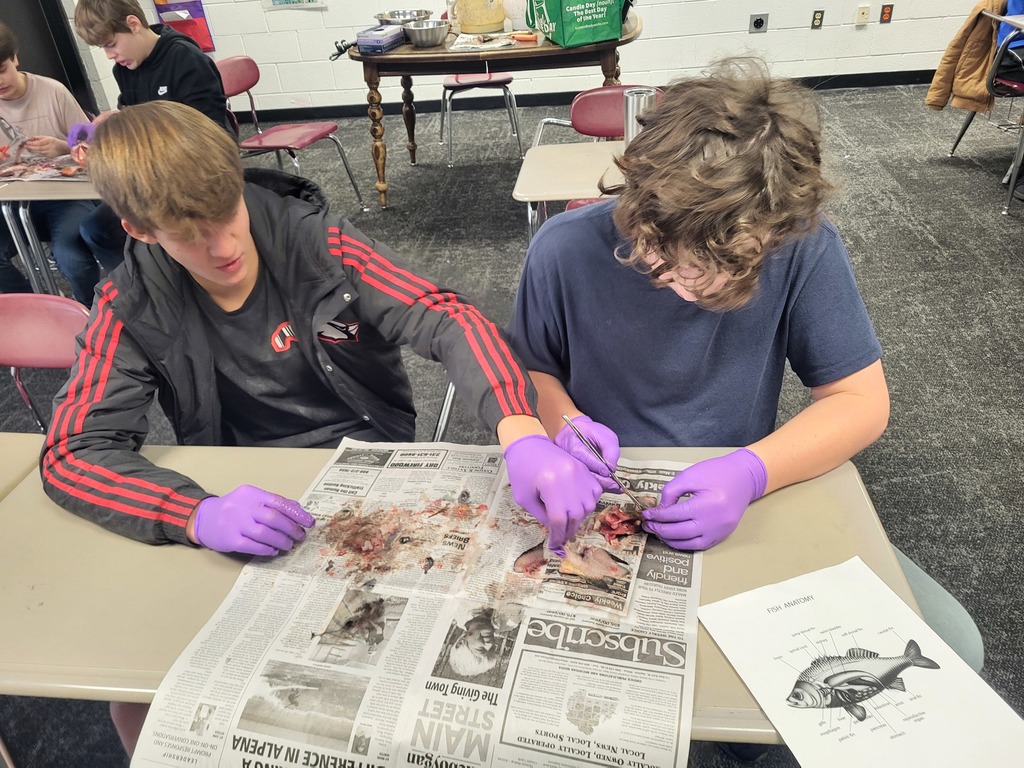 Middle School Outdoor Science Elective students learning about fish anatomy by dissecting fish!
