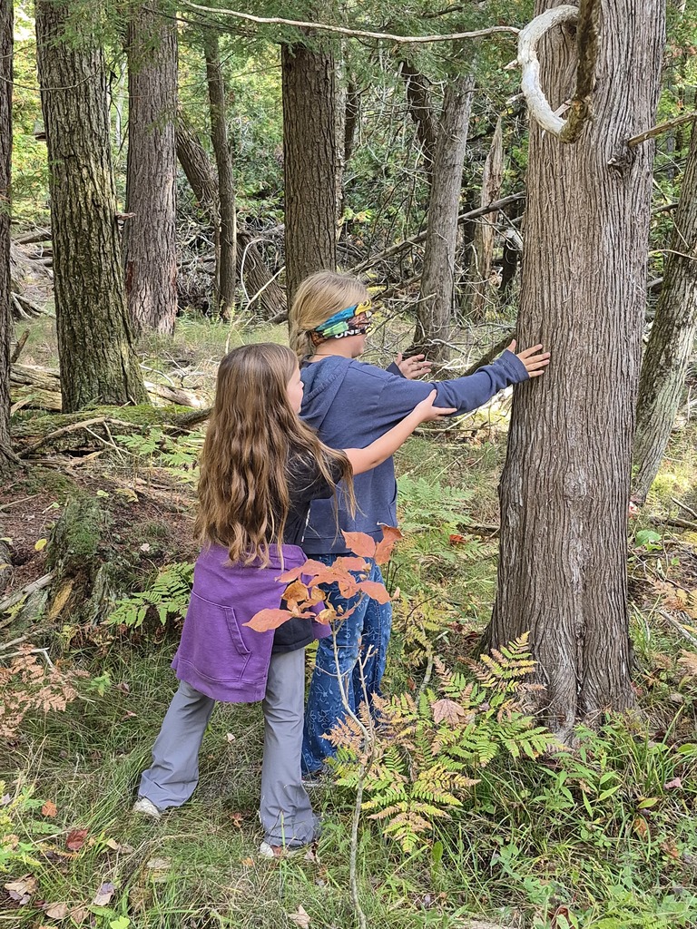 Observations using our senses