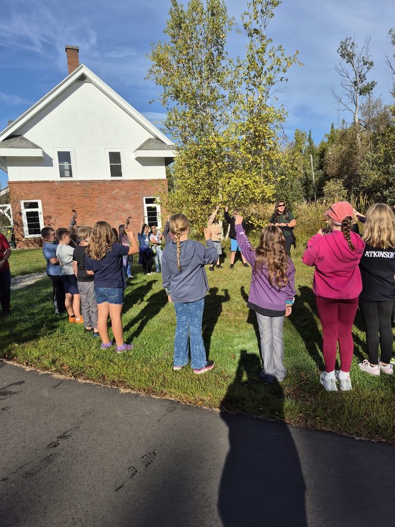 Group observation of leaves