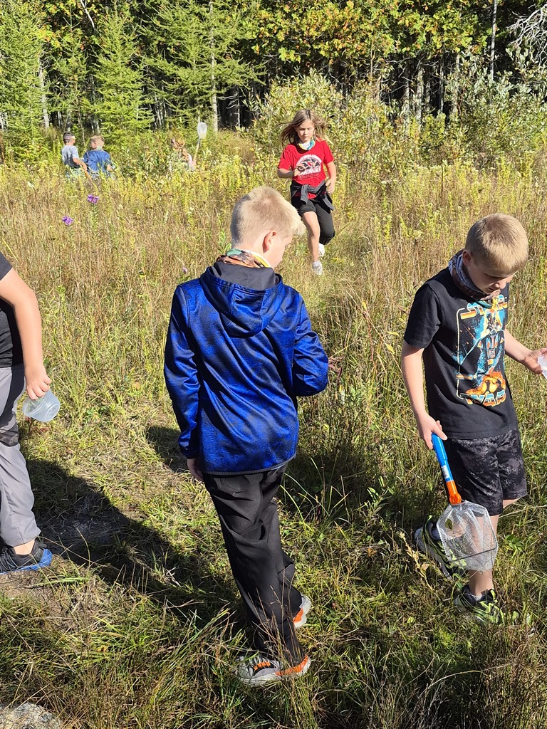 Searching the creek area