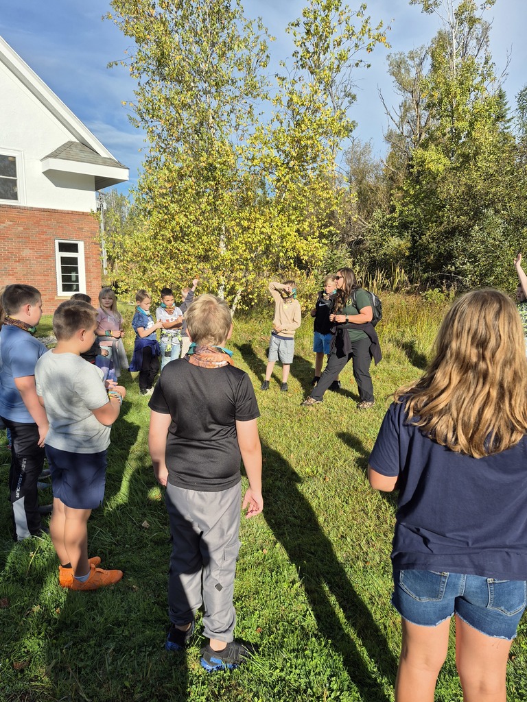 Group observation of leaves