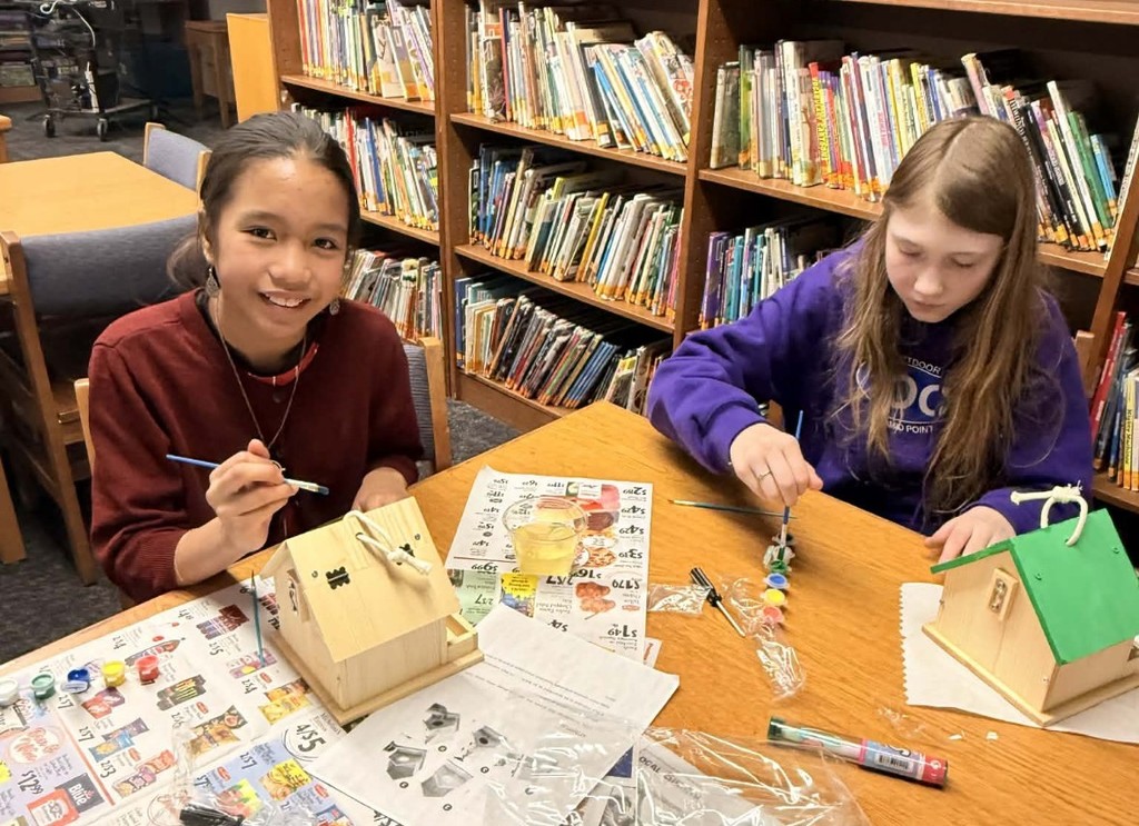 Yellow and Green roofs