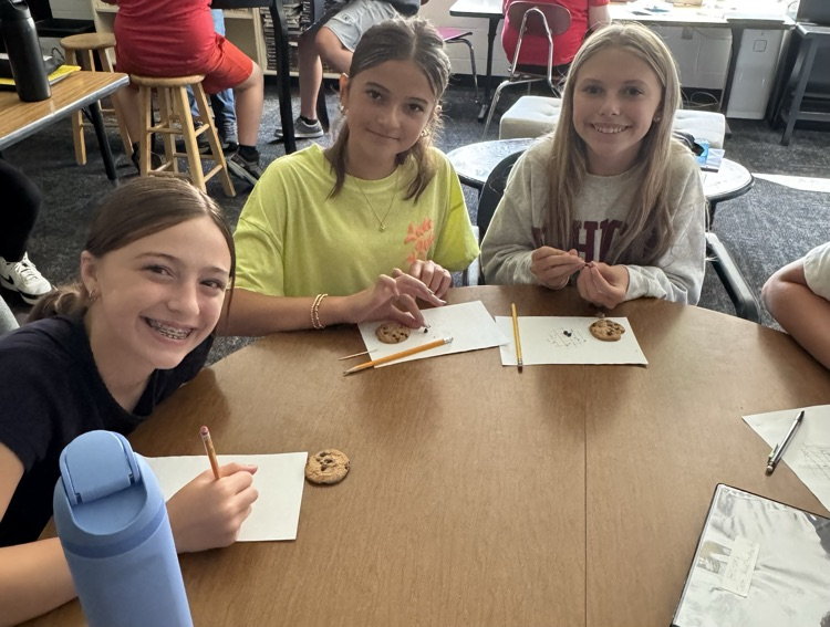 chocolate chip cookie artifacts