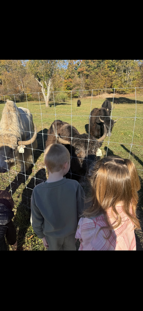 farm animals