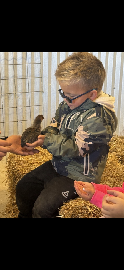 kinder friend and baby chick
