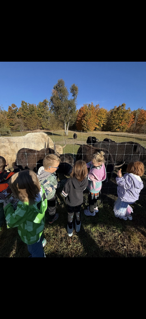 fun with the animals