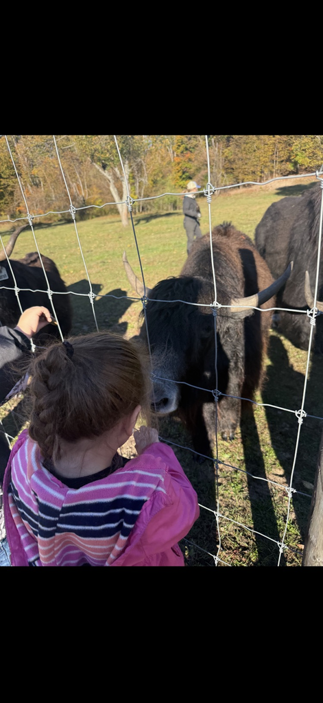 feeding time