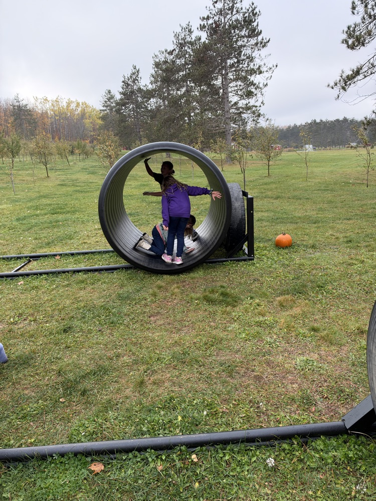hamster wheel 