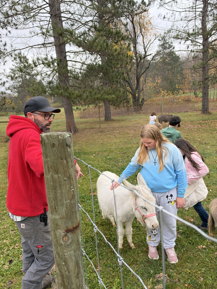 petting the animals