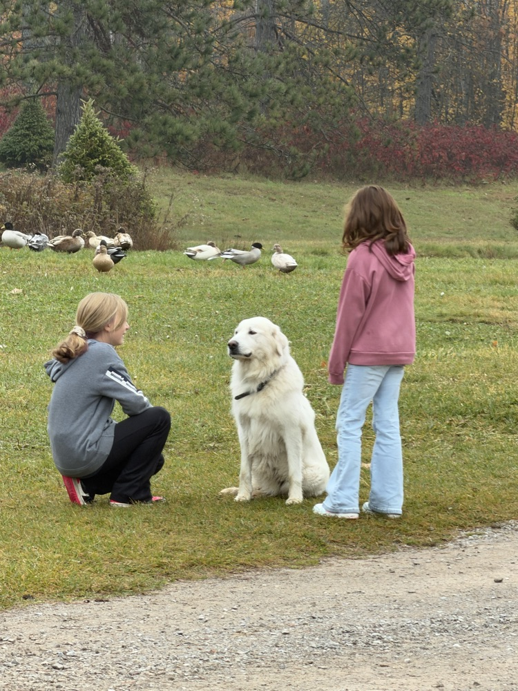 and loving on Ivy the farm dog