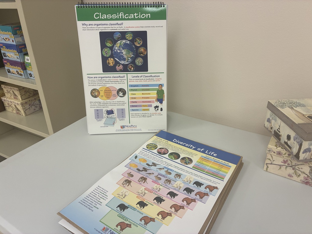 5-8 Homeschool Enrichment