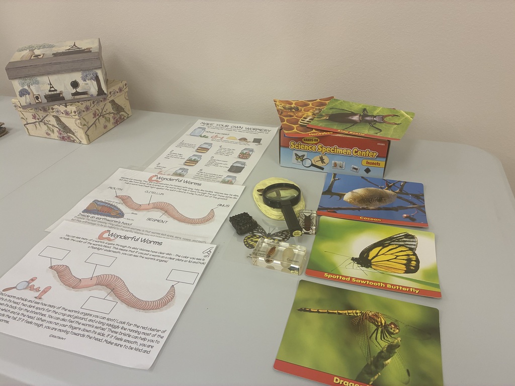 5-8 Homeschool Enrichment