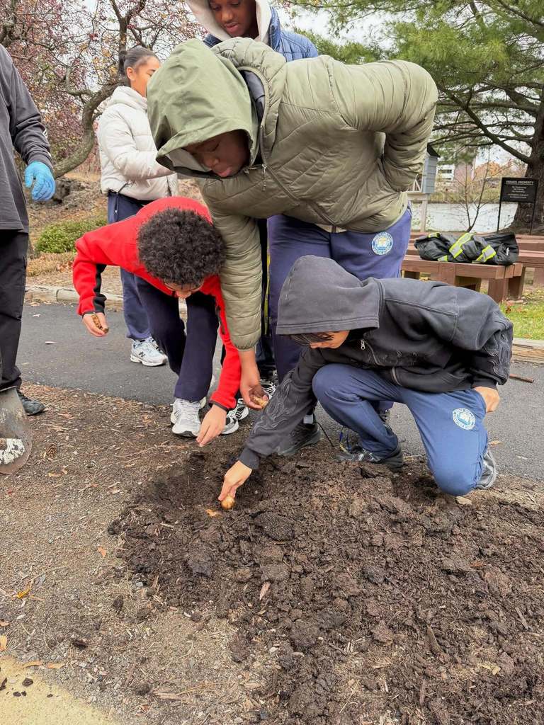 Some of our 8th graders planted 250 daffodils today to help beautify our shared campus as part of JPHCS’s community service mission! 🌼 A huge thanks to City Green for the bulbs and continued support! This is the second year that JPHCS is a grantee of their Tree, Bulb and Native Perennial Grant Program. The “Dig In!” program is funded by the Passaic County Board of County Commissioners.  We can’t wait until Spring to see the flowers bloom. @citygreennj @passaiccountynj