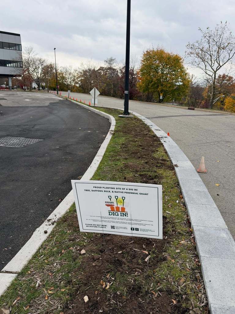 Some of our 8th graders planted 250 daffodils today to help beautify our shared campus as part of JPHCS’s community service mission! 🌼 A huge thanks to City Green for the bulbs and continued support! This is the second year that JPHCS is a grantee of their Tree, Bulb and Native Perennial Grant Program. The “Dig In!” program is funded by the Passaic County Board of County Commissioners.  We can’t wait until Spring to see the flowers bloom. @citygreennj @passaiccountynj