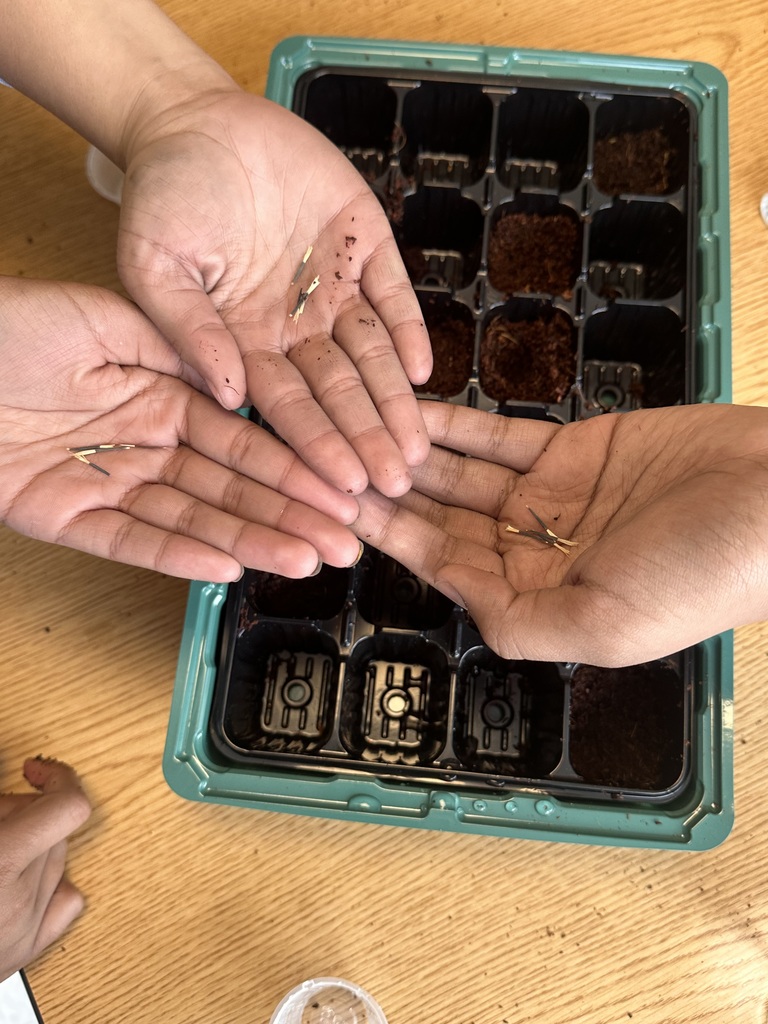 Earth Day Activity 