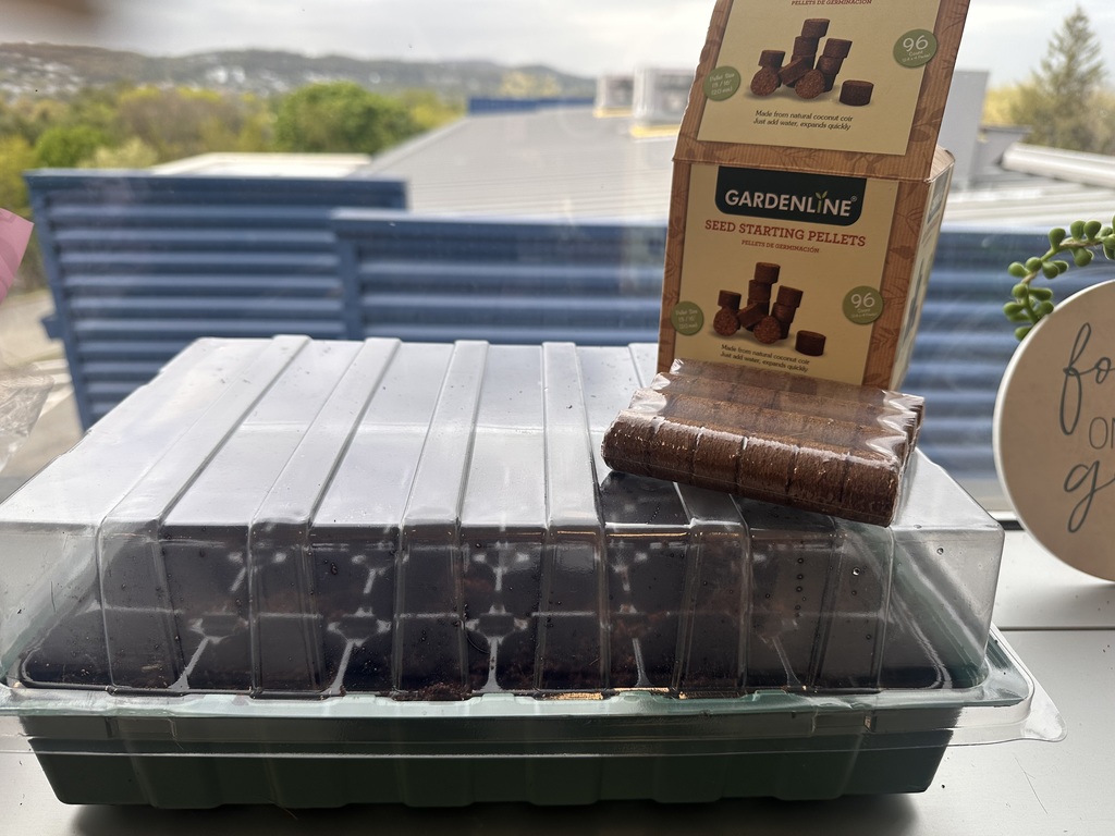 Earth Day Activity 