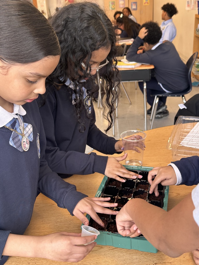 Earth Day Activity 