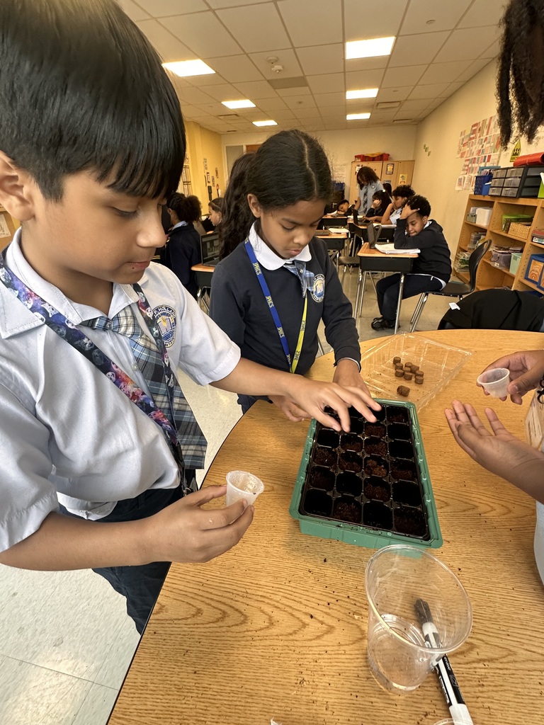 Earth Day Activity 