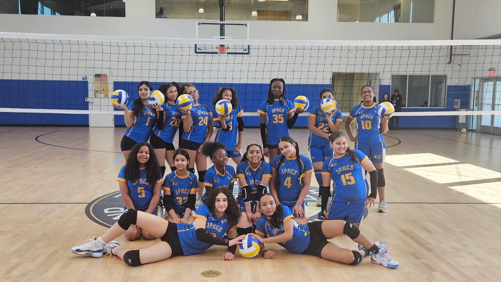 Volleyball Game!