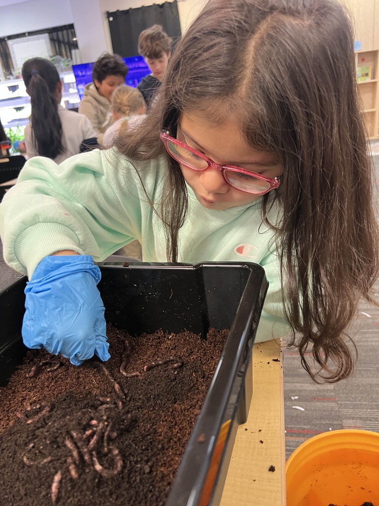 girl and worm box