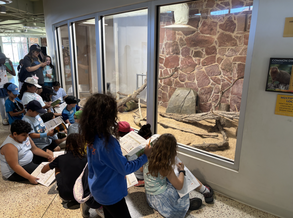 3rd Grade Zoo - 4/2