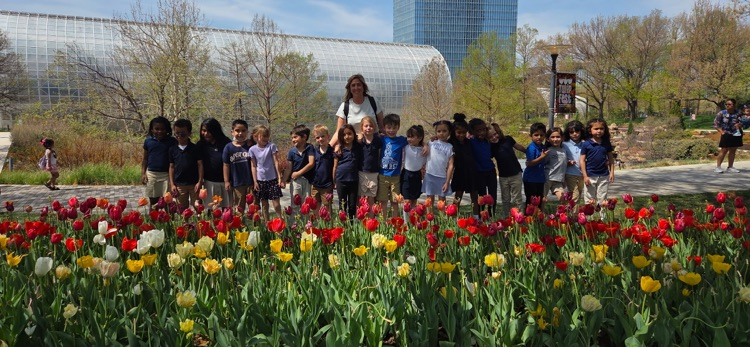 trip to tulips