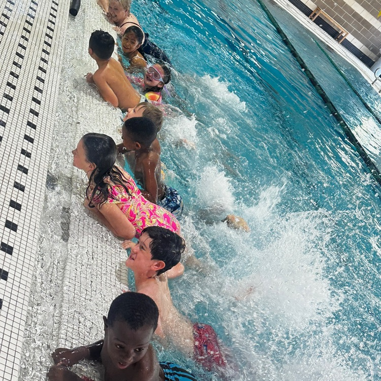 swim