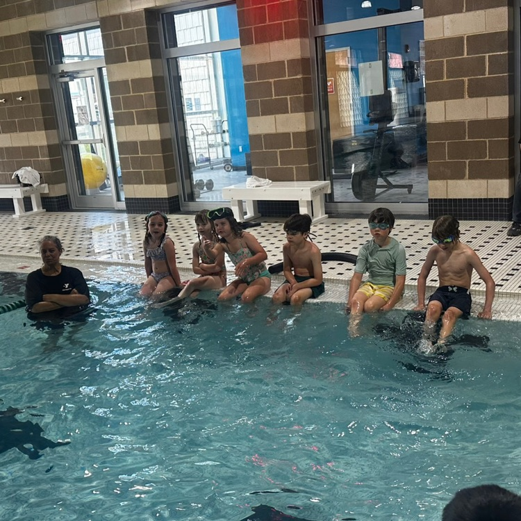 swim
