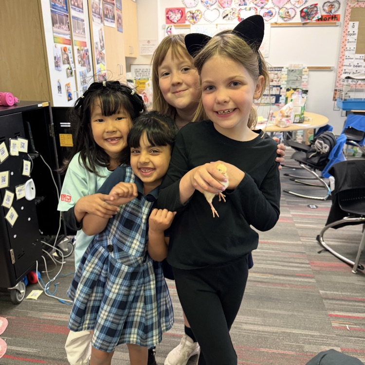embryology first grade project 