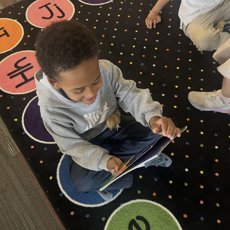embryology first grade project 