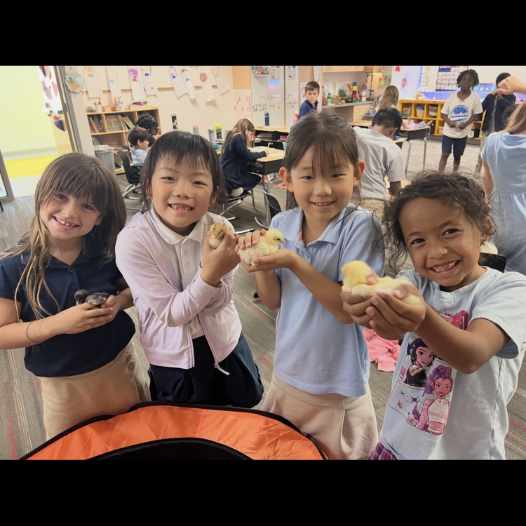 embryology first grade project 