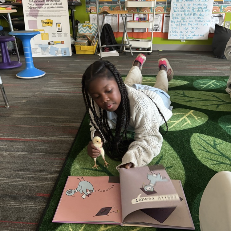 embryology first grade project 