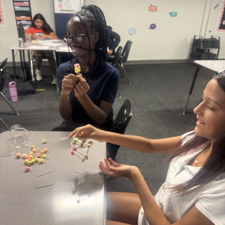 Students showing completed models