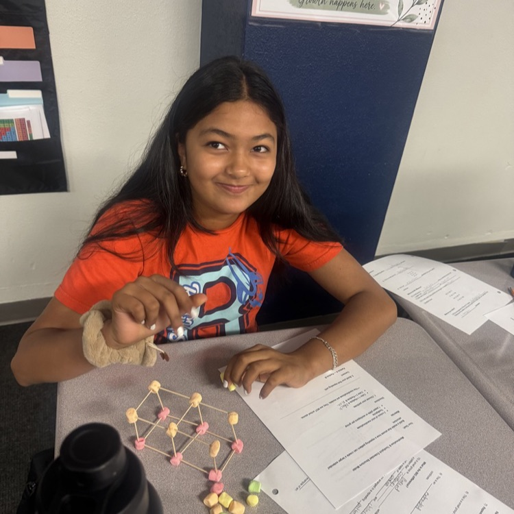 Students showing completed models