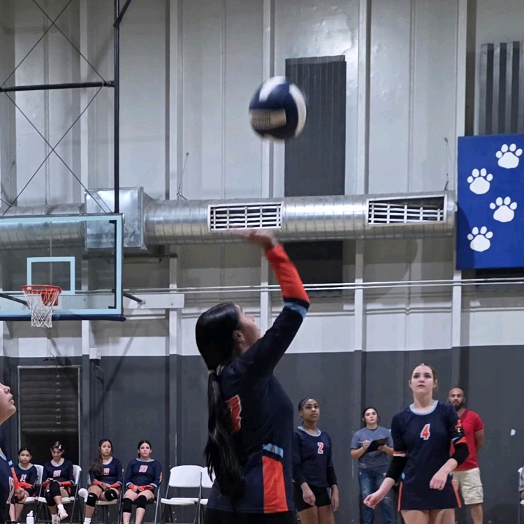 Volleyball 
