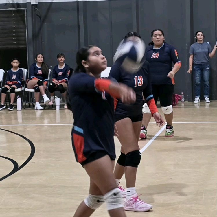 Volleyball 