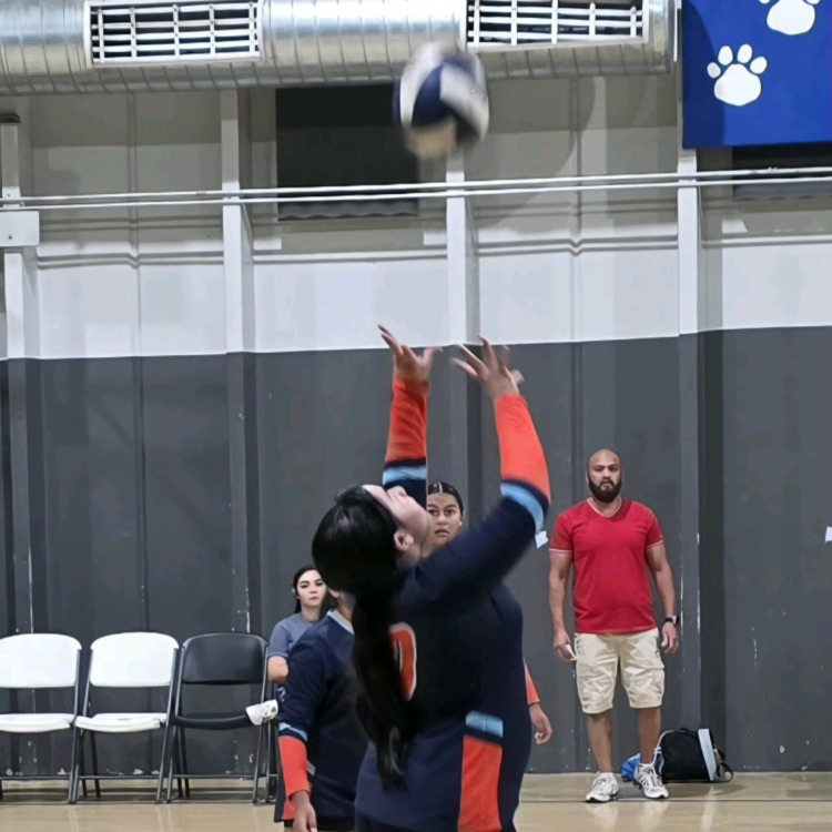 Volleyball 