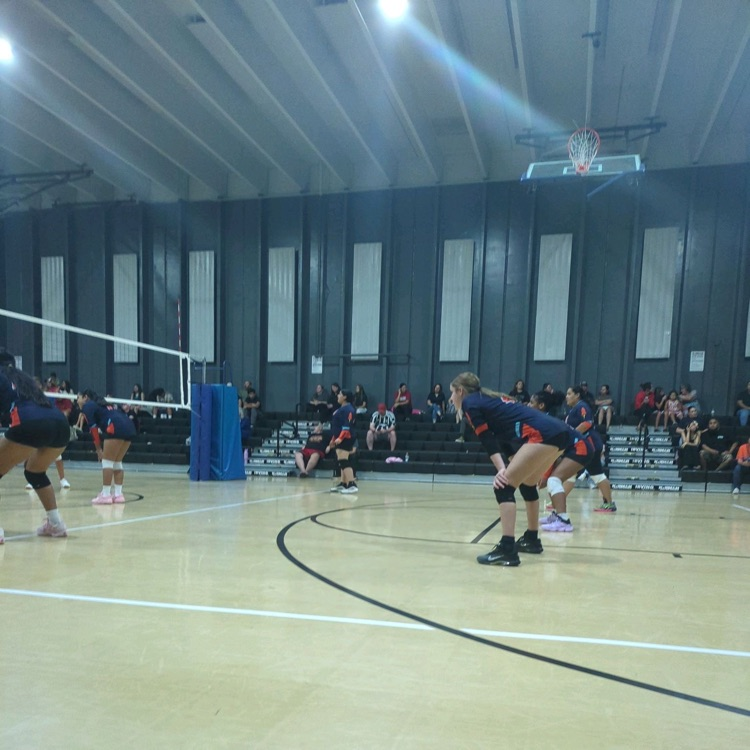 Volleyball 