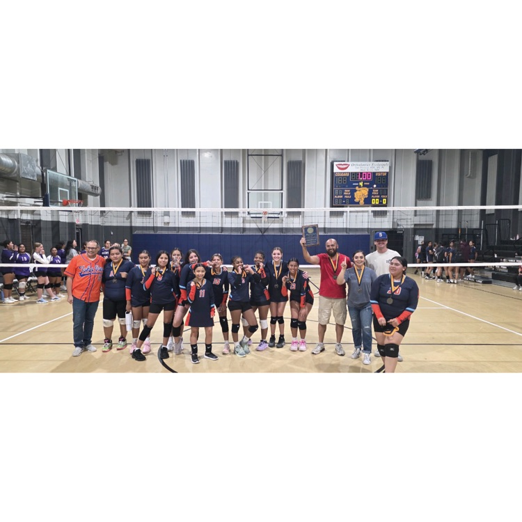 Volleyball 