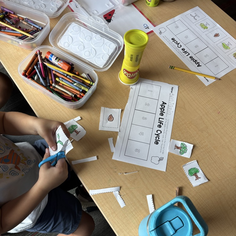 Apple week in kinder