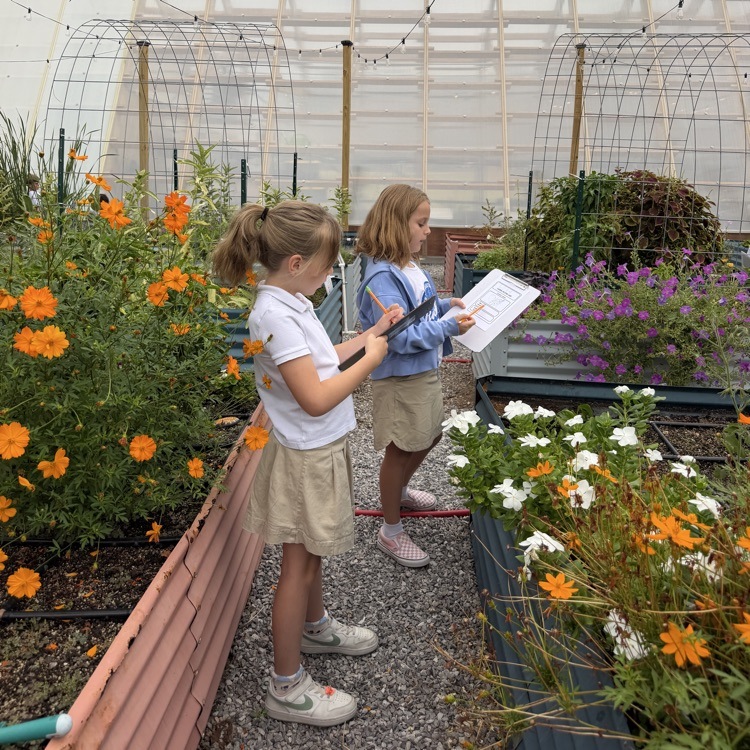 🪴