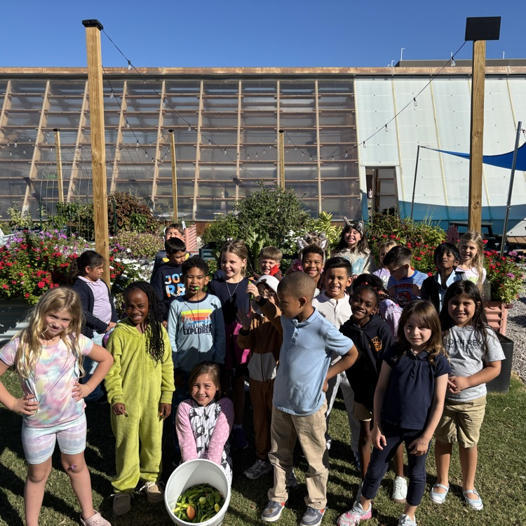harvest day 
