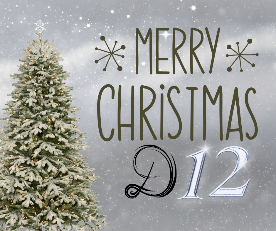 Merry Christmas D12